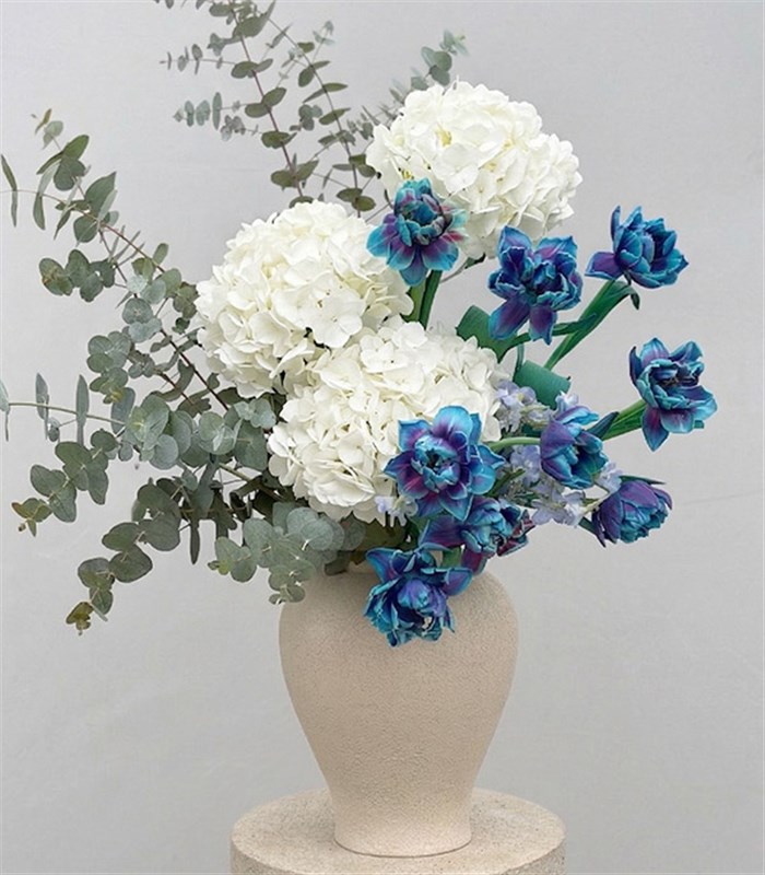 Deluxe Krem Seramik Vazoda Galaksi Lale Beyaz Ortanca Aranjmanı