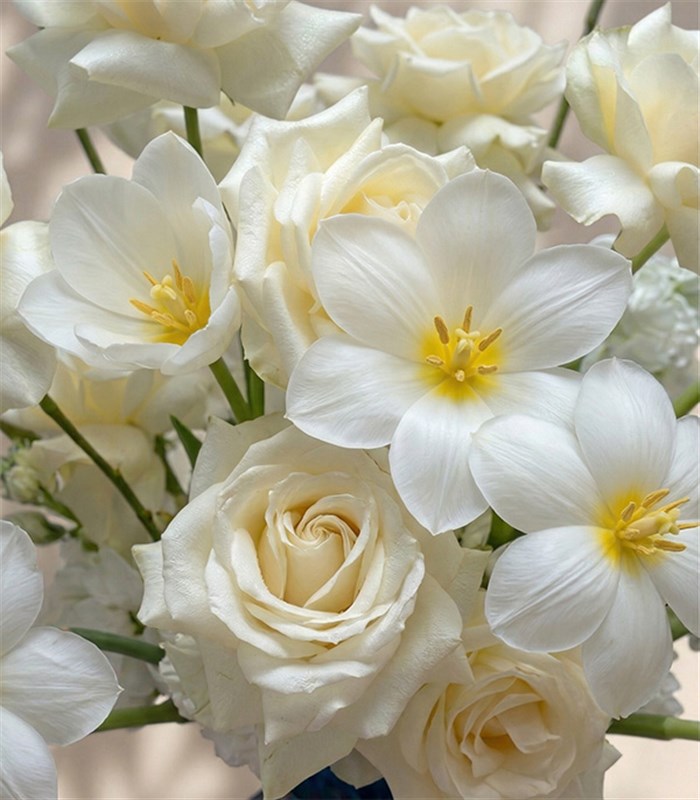 Elysienne Deluxe Hologram Mavi Vazoda Beyaz Gül Beyaz Lale Aranjmanı