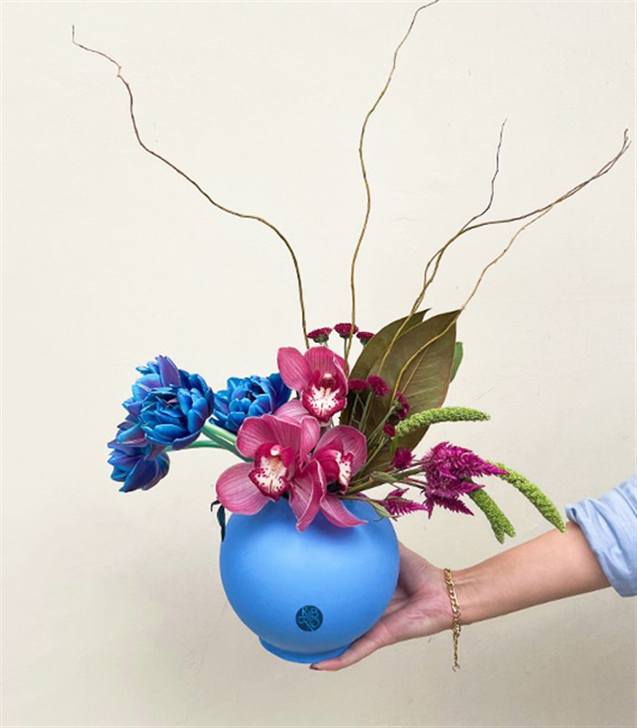 Joelle Mavi Seramik Vazoda Cymbidium Orkide Galaksi Lale Aranjmanı