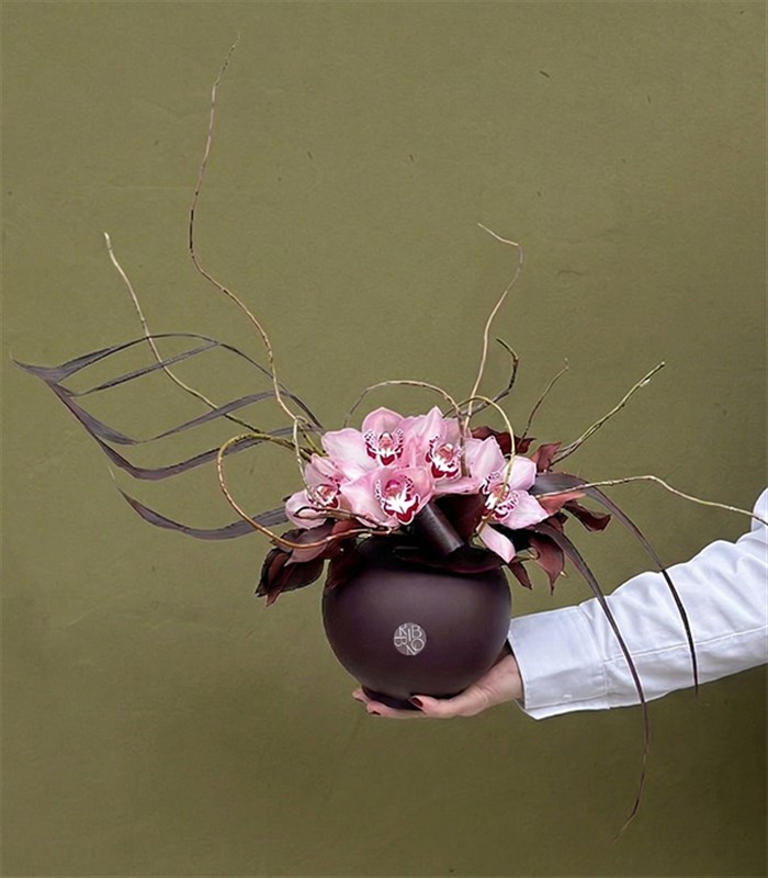 Carlotta Seramik Vazoda Pembe Cymbidium Orkide Aranjmanı