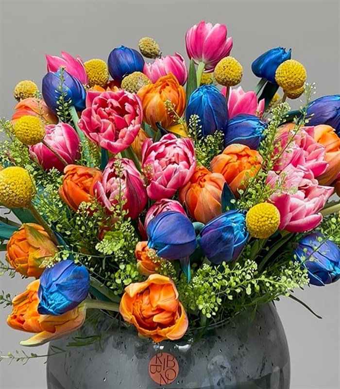 Rengarenk 60Lı Grand Pembe Turuncu Lale Havuzu Galaksi Laleli