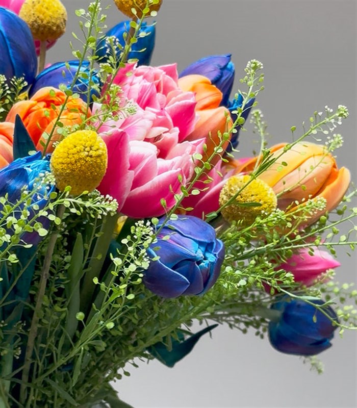 Rengarenk 60Lı Grand Pembe Turuncu Lale Havuzu Galaksi Laleli