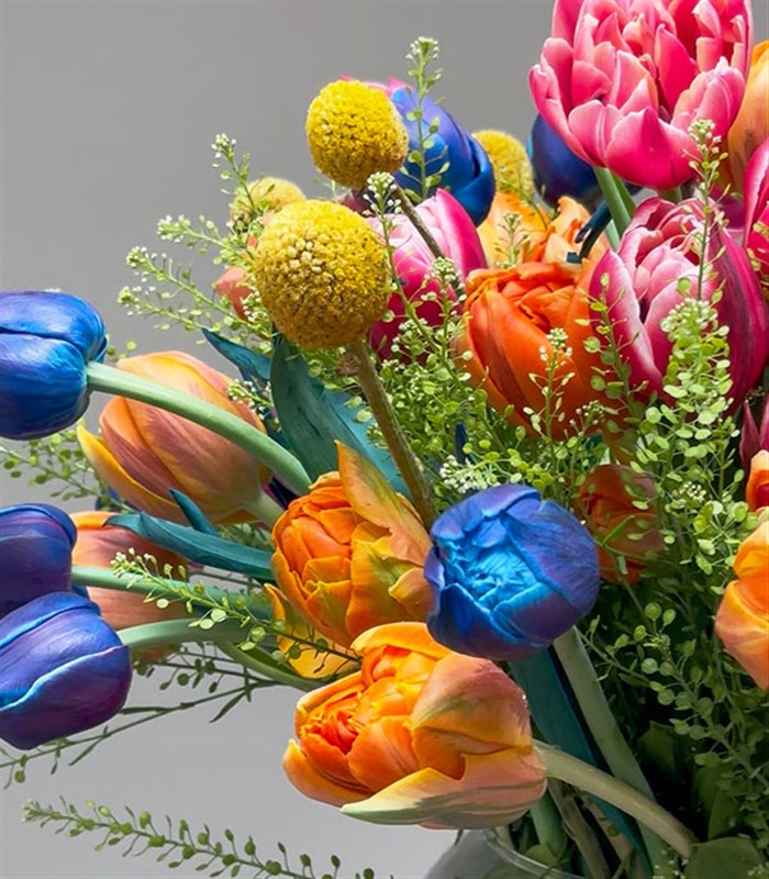 Rengarenk 60Lı Grand Pembe Turuncu Lale Havuzu Galaksi Laleli