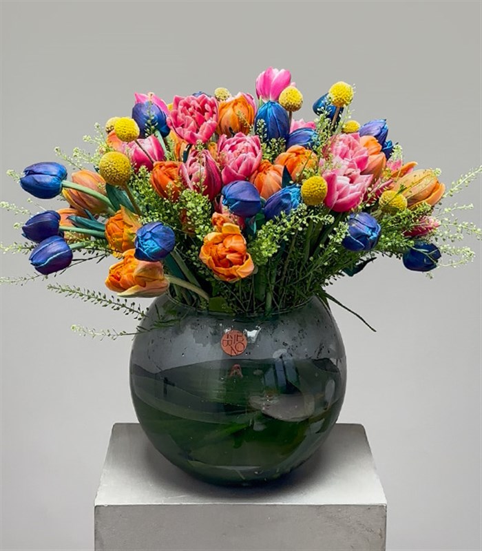 Rengarenk 60Lı Grand Pembe Turuncu Lale Havuzu Galaksi Laleli