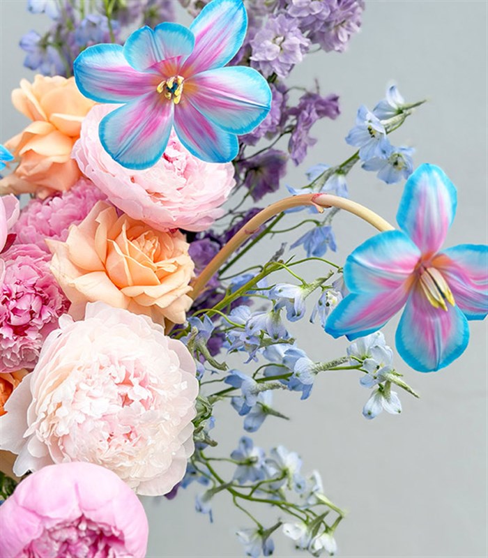 Aurora Bloom Cam Vazoda Pembe Şakayık Delfinyum Bahar Aranjmanı