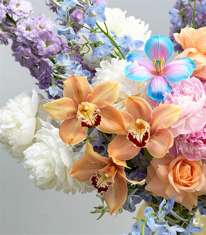 Aurora Bloom Cam Vazoda Pembe Şakayık Delfinyum Bahar Aranjmanı