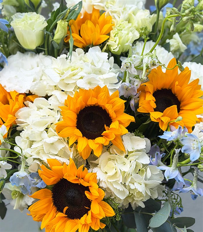Ray Of Light Green Vase White Hydrangea Sunflower Arrangement