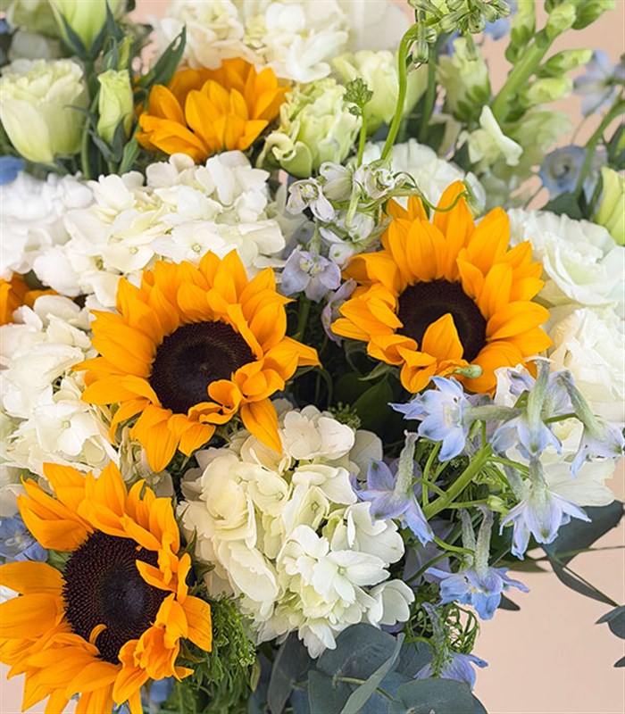 Ray Of Light Green Vase White Hydrangea Sunflower Arrangement