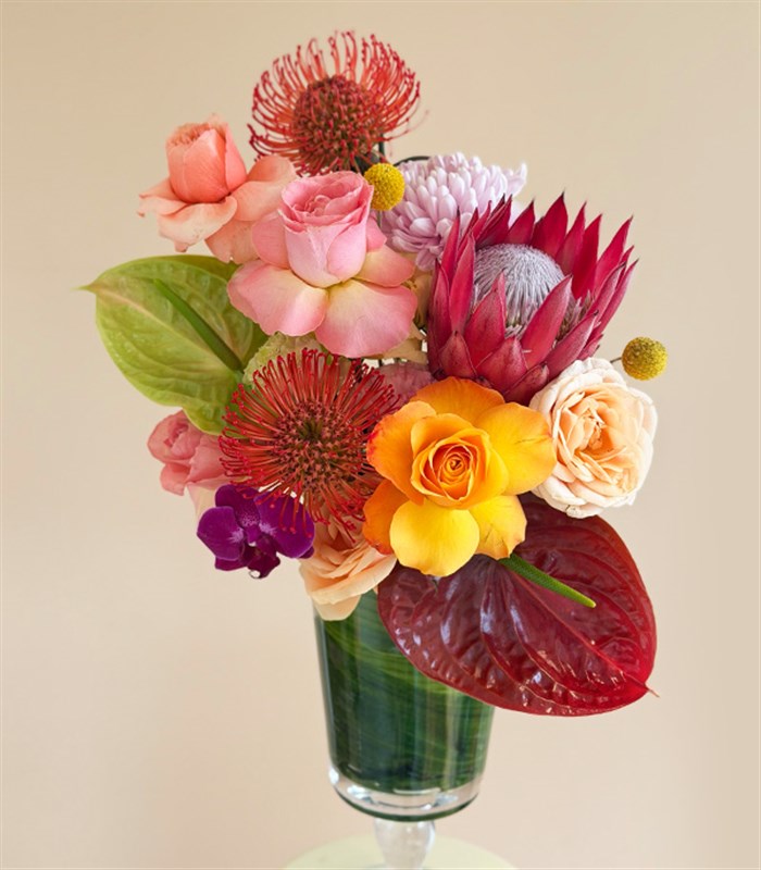 Sunny Spells Queen Protea Anthurium Mothers Day Arrangement