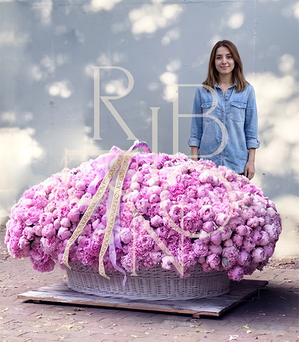 Empire Deluxe Sepette Pembe 1001 Şakayık