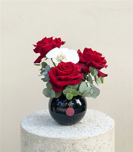 Grace Mini Red Rose Orchid in Black Vase