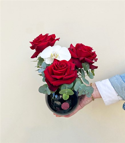 Grace Mini Red Rose Orchid in Black Vase
