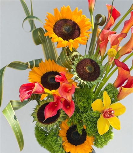 Soleil Levant Sunflower Orange Gala Arrangement in a Ceramic Vase