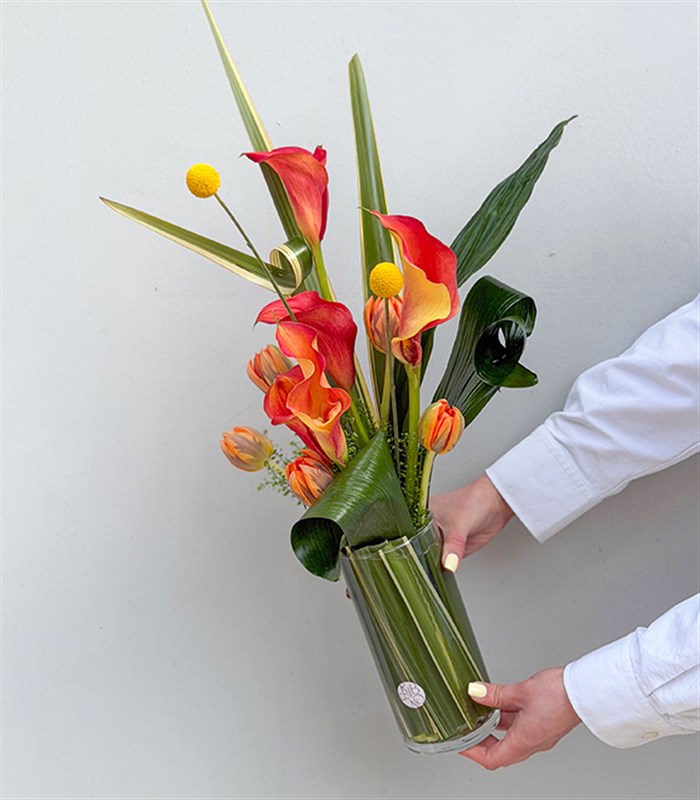 Orange Gala Tulip Arrangement in a Phoenix Glass Vase