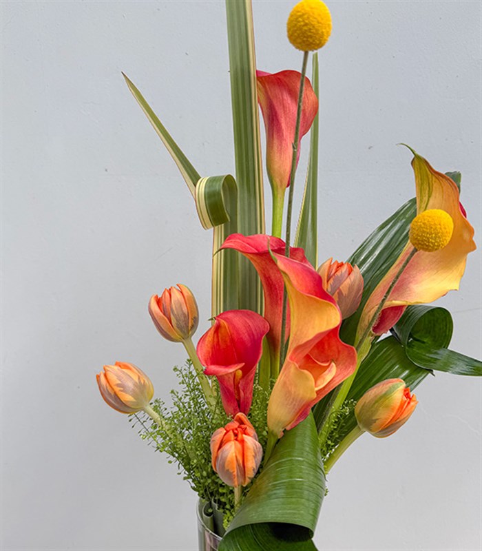 Orange Gala Tulip Arrangement in a Phoenix Glass Vase