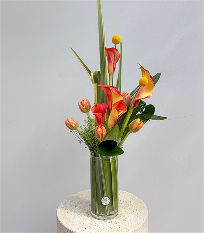 Orange Gala Tulip Arrangement in a Phoenix Glass Vase