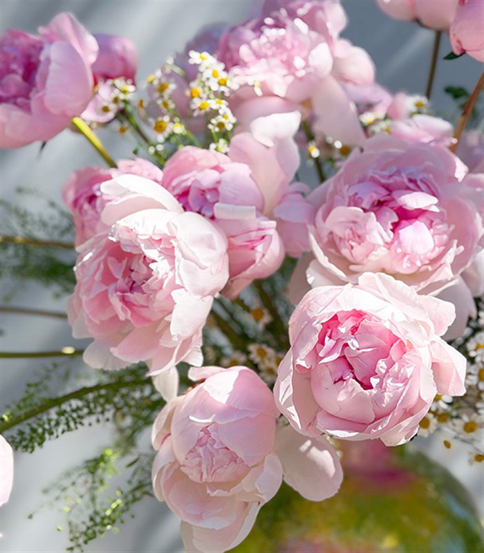 Poplars Pink Effect Limited Edition Pink Peonies in a Vase