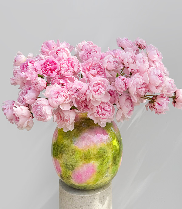 Royal Deluxe Poplars Pink Effect Limited Edition Vazoda 100 Pembe Şakayık