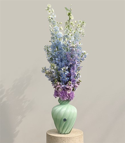 Ombre Ciel Limited Edition Blue Delphinium Arrangement in Mint Vase