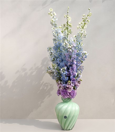 Ombre Ciel Limited Edition Blue Delphinium Arrangement in Mint Vase