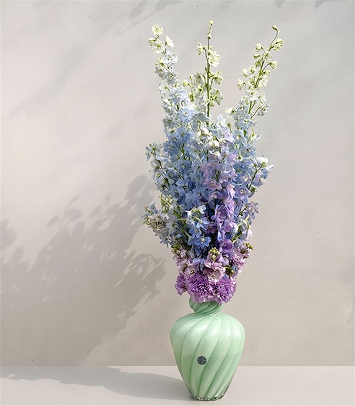 Ombre Ciel Limited Edition Blue Delphinium Arrangement in Mint Vase