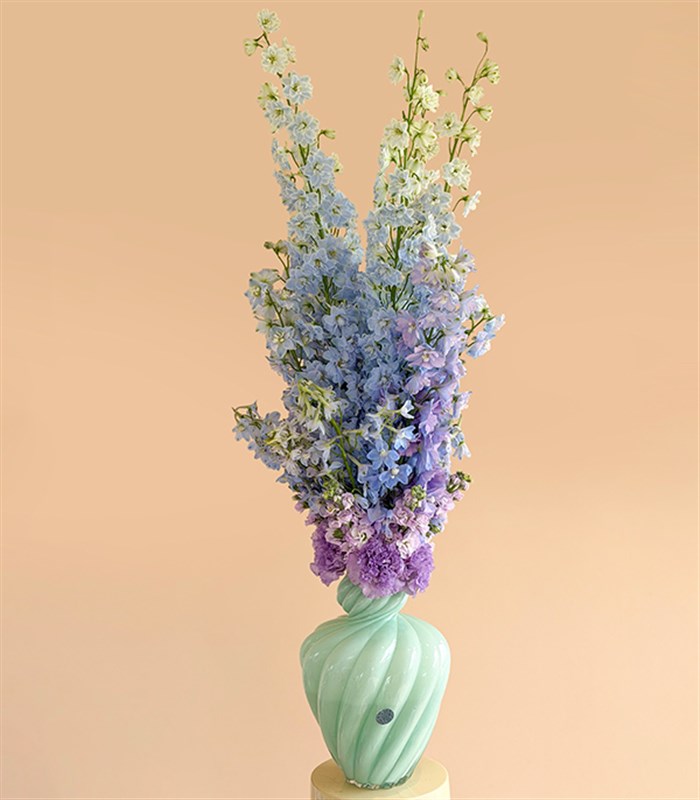 Ombre Ciel Limited Edition Blue Delphinium Arrangement in Mint Vase