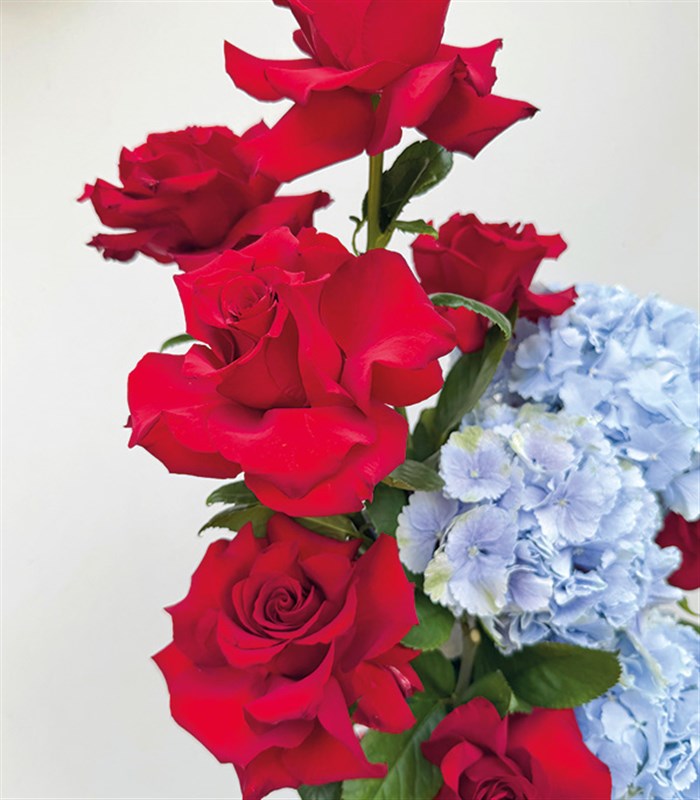 Striped Romance Deluxe Handmade Ceramic Pitcher with Blue Hydrangea and Red Rose Arrangement