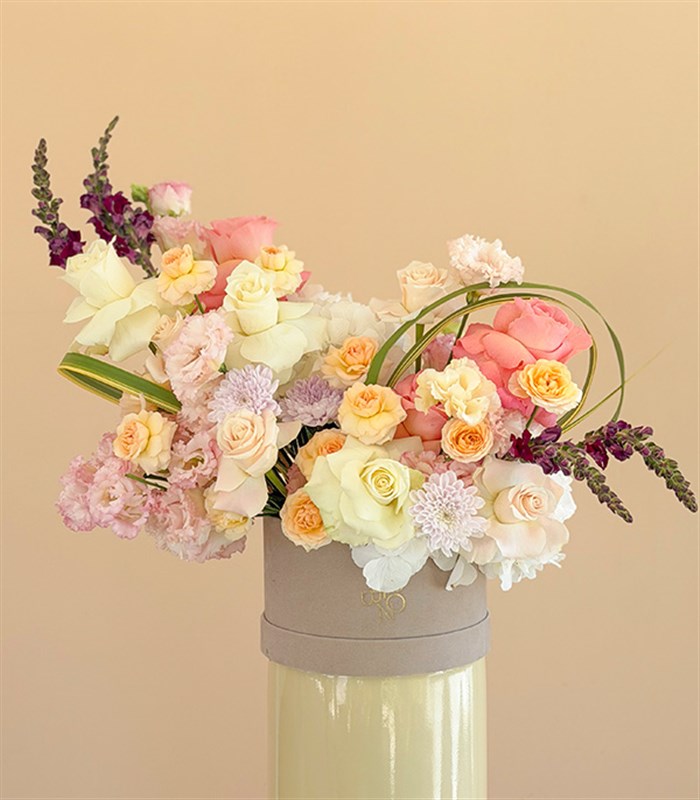 Caramel Bloom Krem Kutuda Somon Kayısı Beyaz Gül Ortanca Aranjmanı