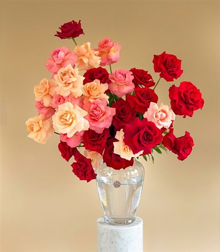 Together Deluxe Ceramic Burgundy Vase with Pink and Red Roses Arrangement