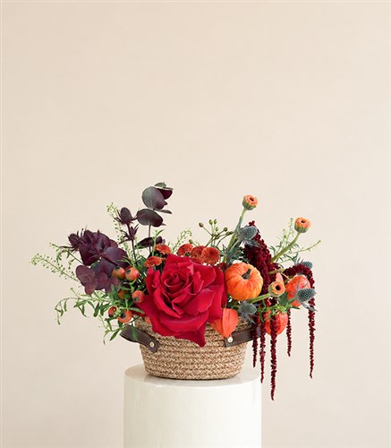Golden Harvest Red Rose Pumpkin Mini Basket Autumn Arrangement
