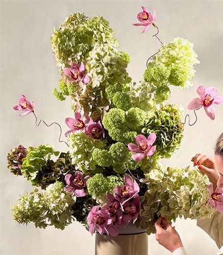 Viridia Yeşil Ortanca Cymbidium Orkide Heykel Aranjman