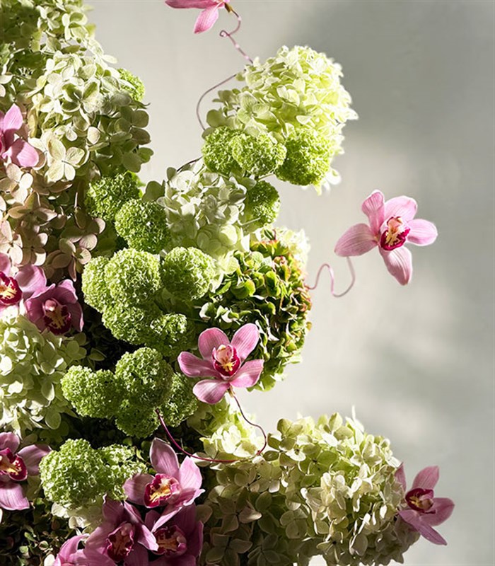 Viridia Yeşil Ortanca Cymbidium Orkide Heykel Aranjman