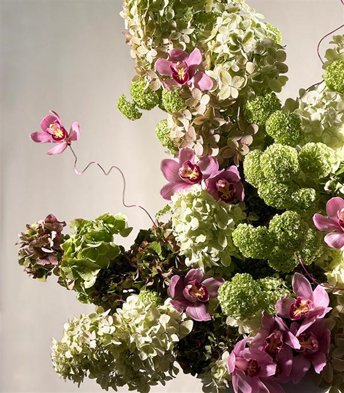 Viridia Yeşil Ortanca Cymbidium Orkide Heykel Aranjman