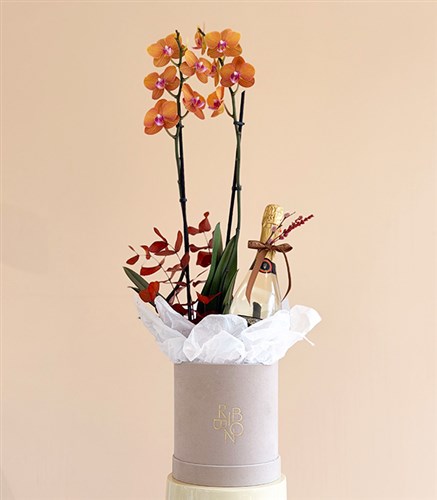Festiva Pomegranate Orchid 2-Stem Non-Alcoholic Champagne Gift Set