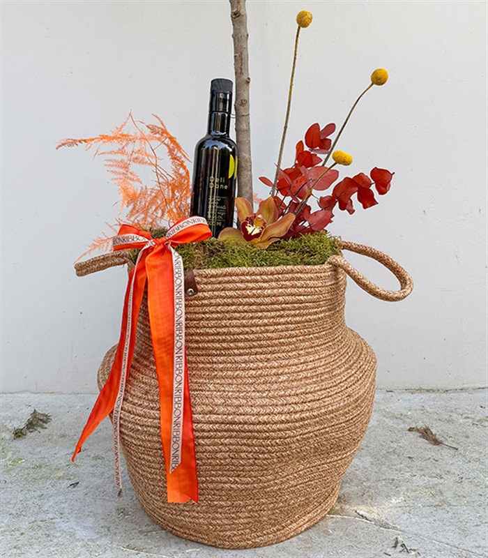 Olivea Hasır Sepette Deluxe Zeytin Ağacı 150 cm