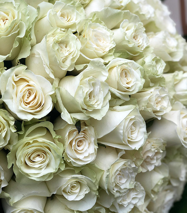 Grand Deluxe 75 White Rose Bouquet