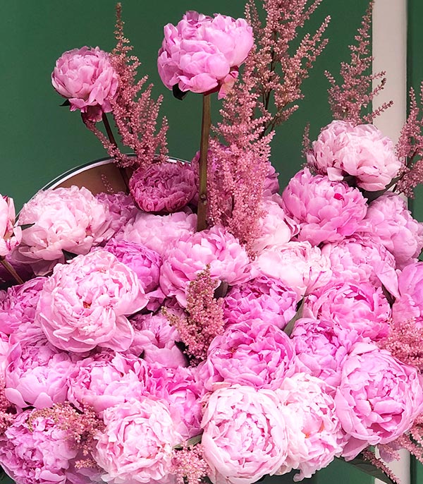 50 Pink Peonies in the Grand Box