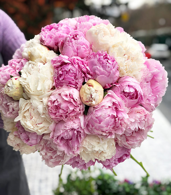 Royal Deluxe Pink White 30 Peonies Bouquet