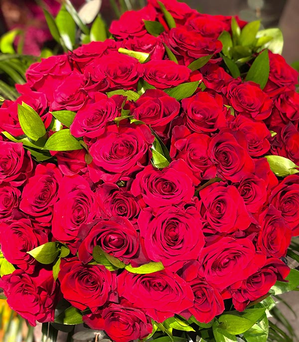50 Red Equatorial Roses Grand Vase Arrangement