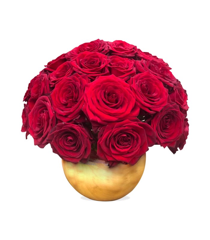 Gold Vazoda 25 Kırmızı Güller Ekvator Gülü