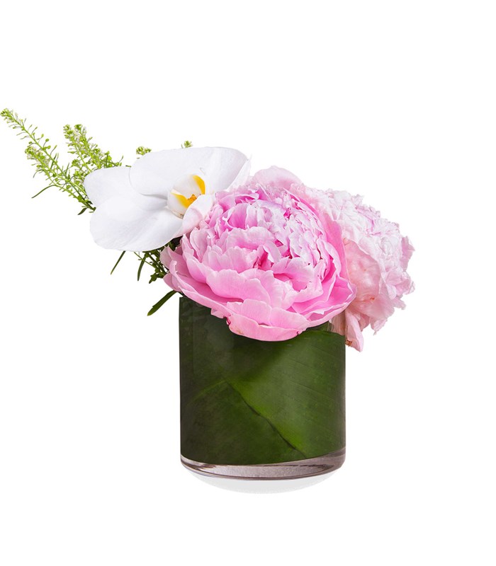 Mini Vazoda Şakayık ve Orkide