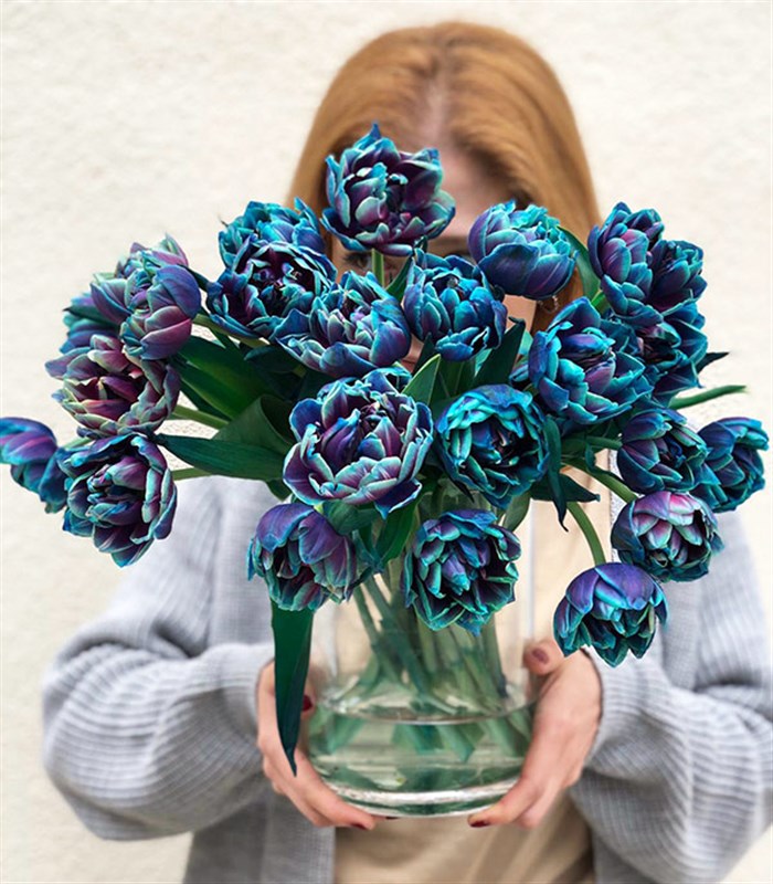 Vazoda 20 Galaksi Laleler