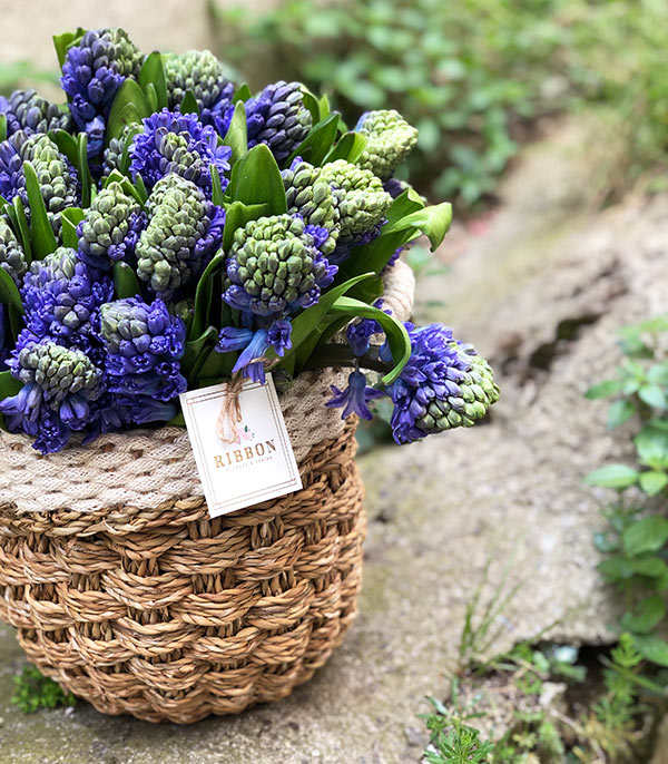 25 Purple Hyacinths Bouquet in Basket