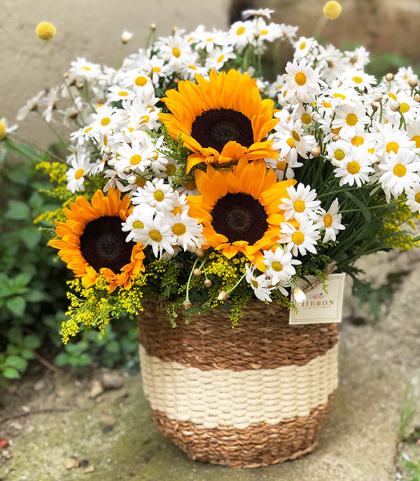 Daisies Sunflower Bouquet in Basket