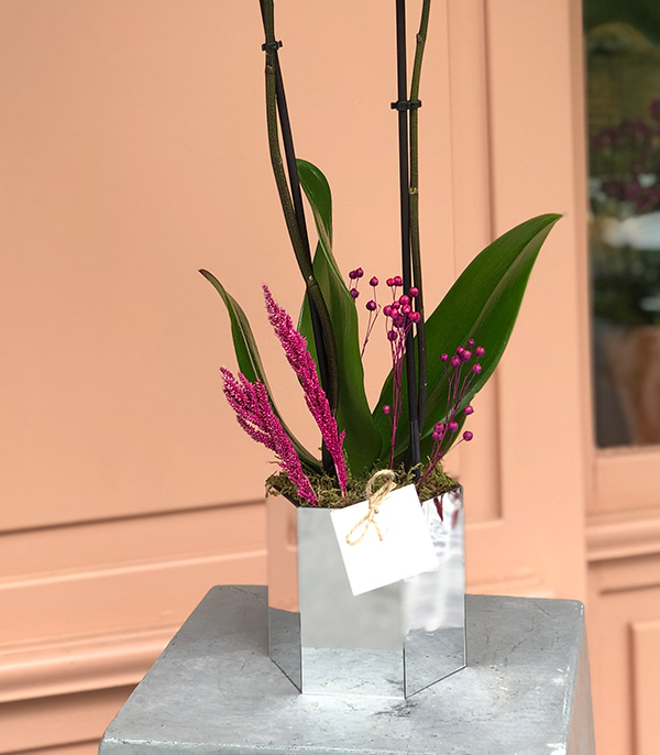 Luxe Silver Vase Orchid Fuchsia