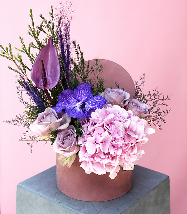 Pink Purple Flower in Box