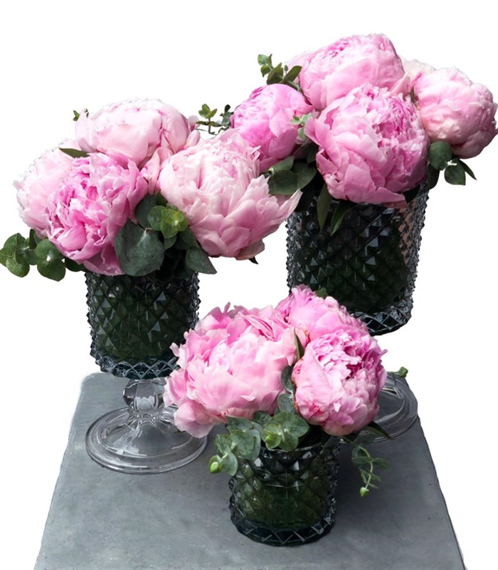 Pembe Şakayıklar 3Lü Kesme Vazo Masa Çiçeği Seti