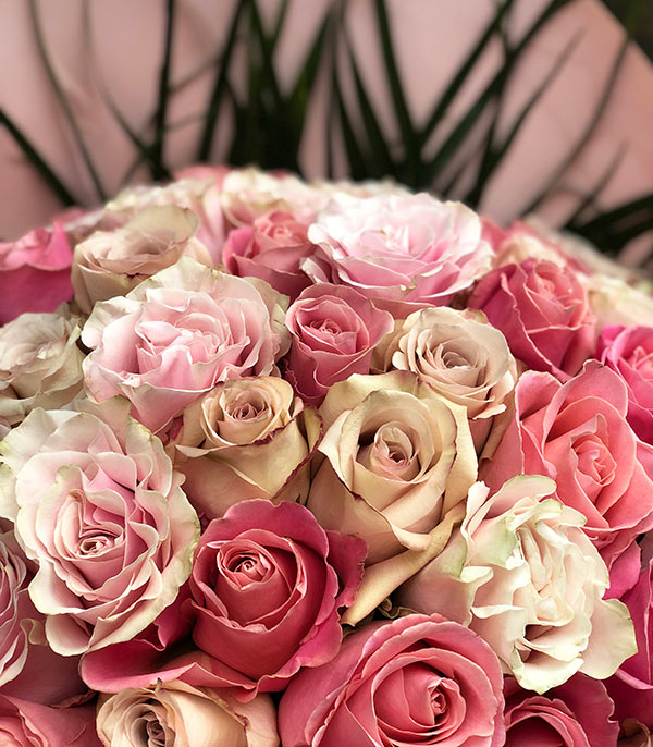 Royal Deluxe 75 Pink Salmon Roses Bouquet