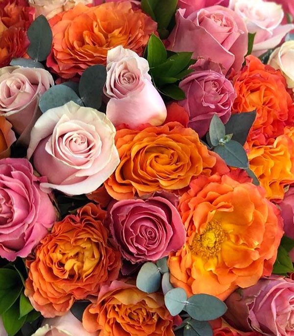 Grand Deluxe 60 Pink Orange Roses Bouquet