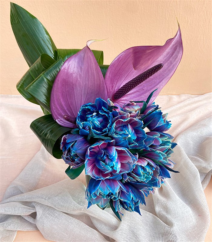 Andromeda Galaksi Laleler Aranjmanı